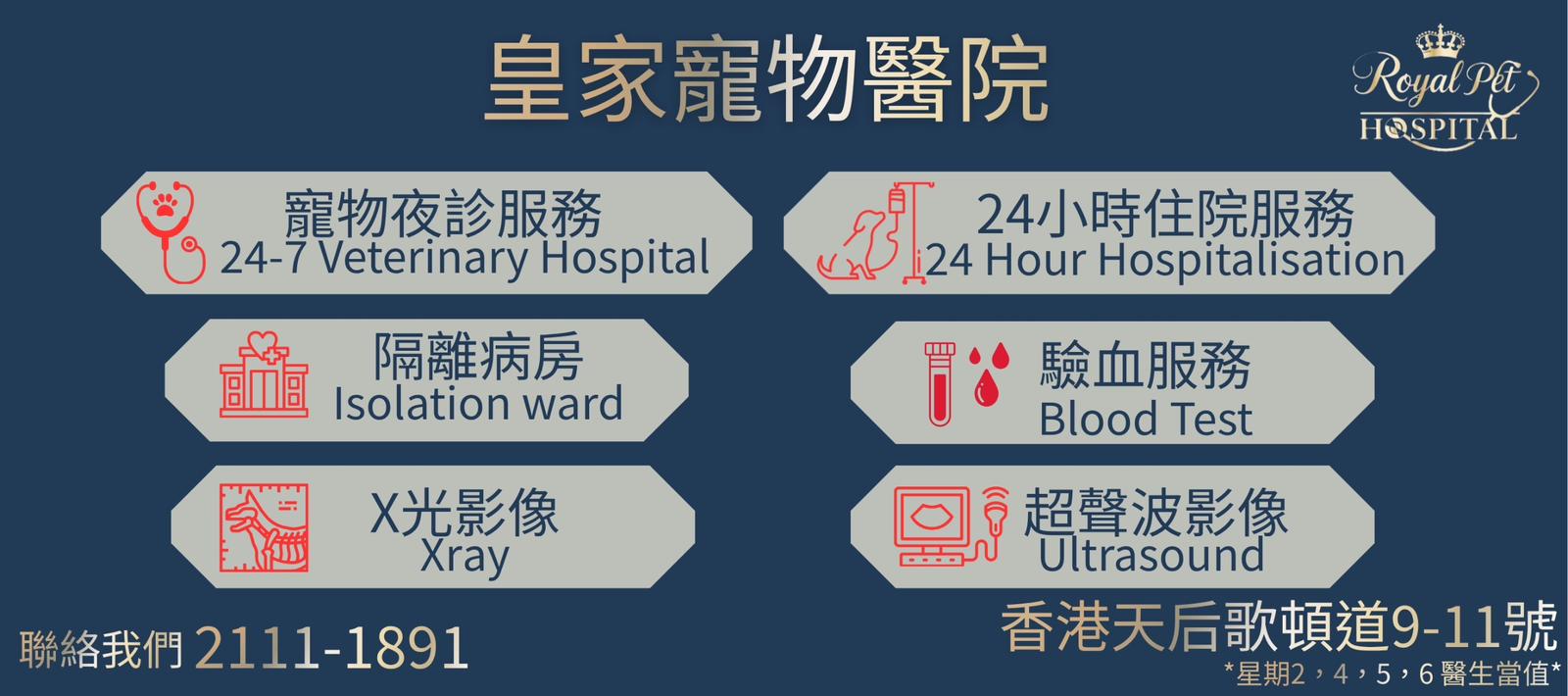 24 Hour 24小時寵物診所